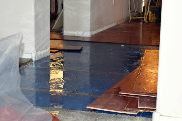 Professional Water Damage Restoration technician working in Powell, WY